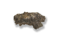 M 00595 a
<br/>
dendritisch gedegen Koper in en op kwarts
<br/>
<em></em>